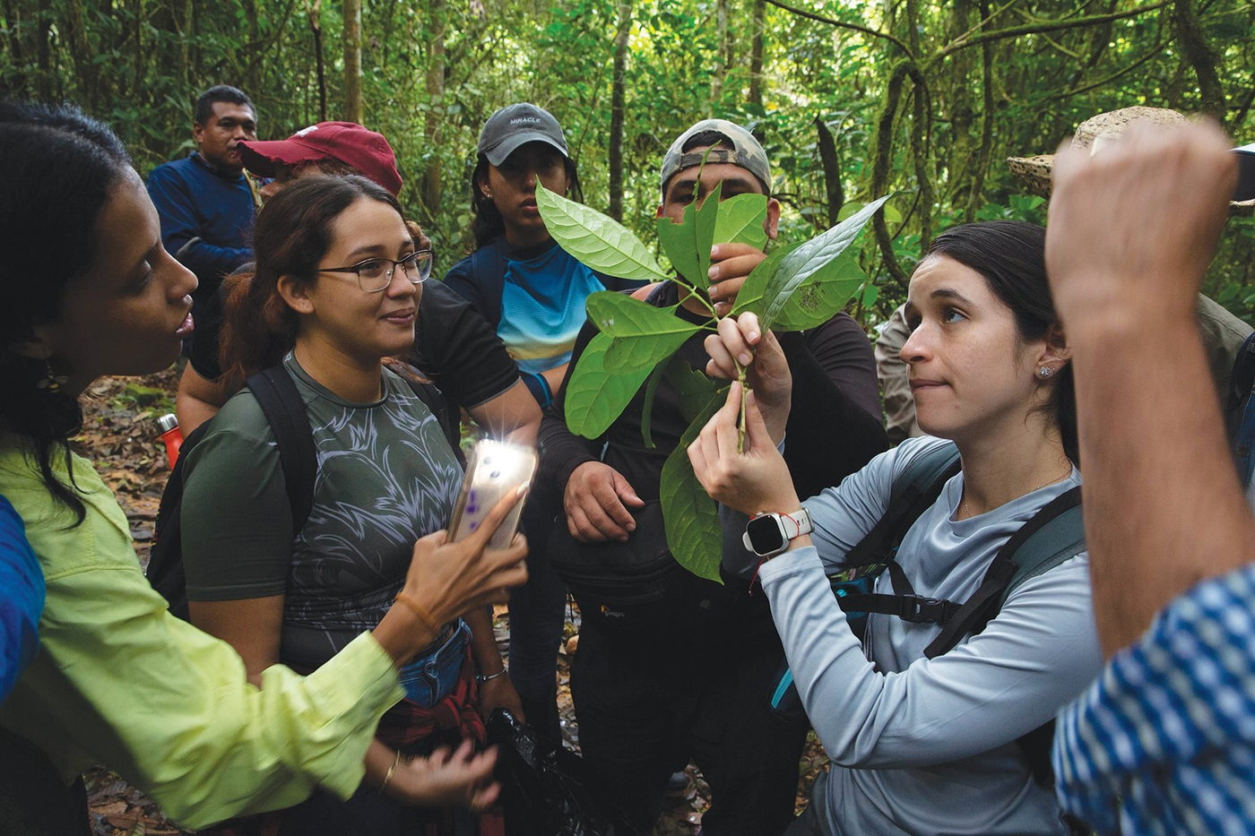 Durante una de las excursiones a Altos de Campana, una zona montana baja de Panamá, los instructores seleccionan distintas muestras de hojas para que los estudiantes las analicen.