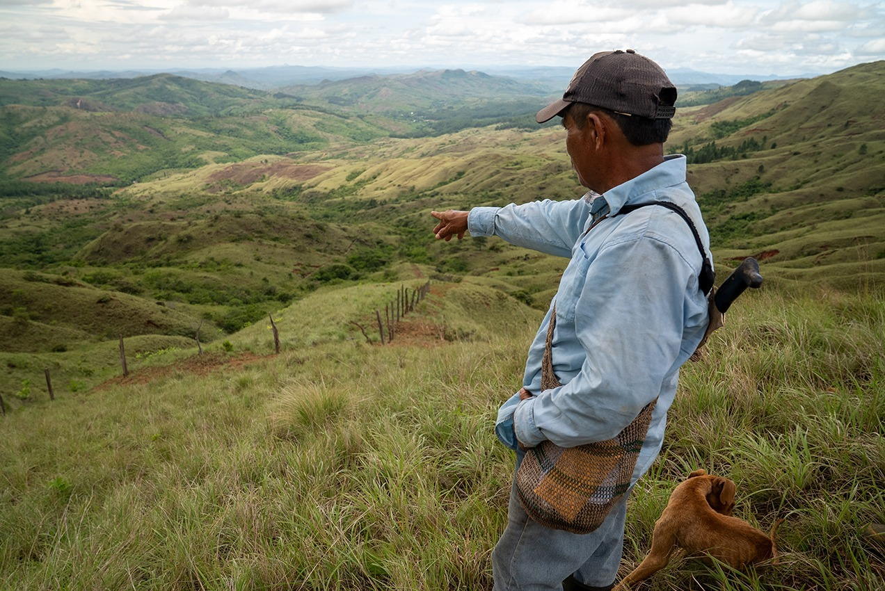 León Santos, uno de los participantes en el proyecto de reforestación en la comarca Ngäbe-Buglé, señala una de las parcelas de reforestación desde el corregimiento de Buenos Aires, en el distrito de Ñürüm, Comarca Ngäbe-Buglé.