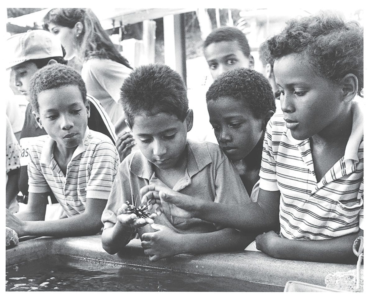 Niños observando especimenes en el STRI